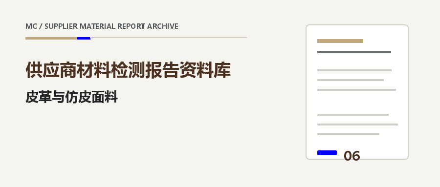 皮革与仿皮面料供应商材料报告栏目封面
